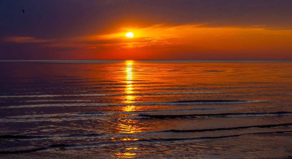 Фотография автора Aлексей Игнатьев