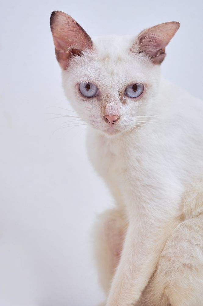 Фотография автора John Bernard Triumfante