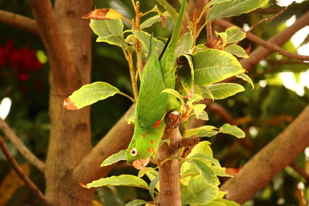 Photograph by Mendes Abade Adrielly
