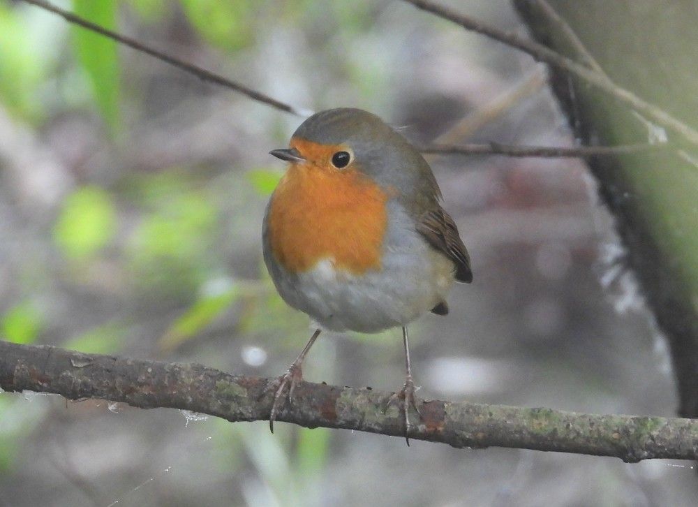 Photograph by Владимир Джерихов