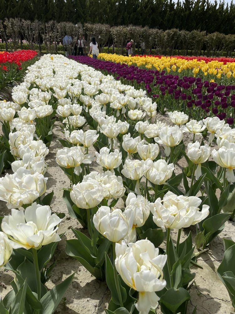 Photograph by Gorobets Olga