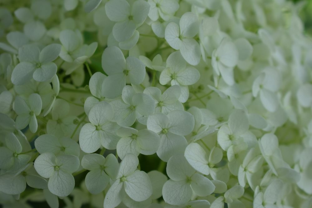 Photograph by Наталья Еременко