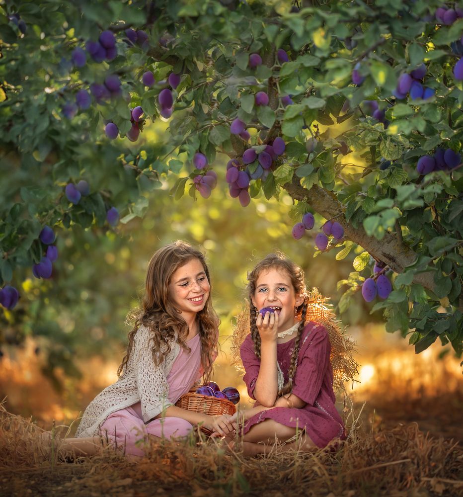 Photograph by Hamutal Avioz