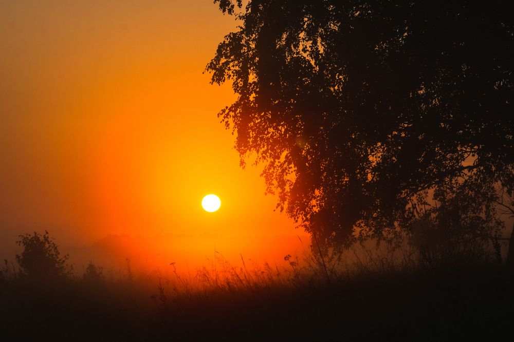 Photograph by Dina Abubakirova