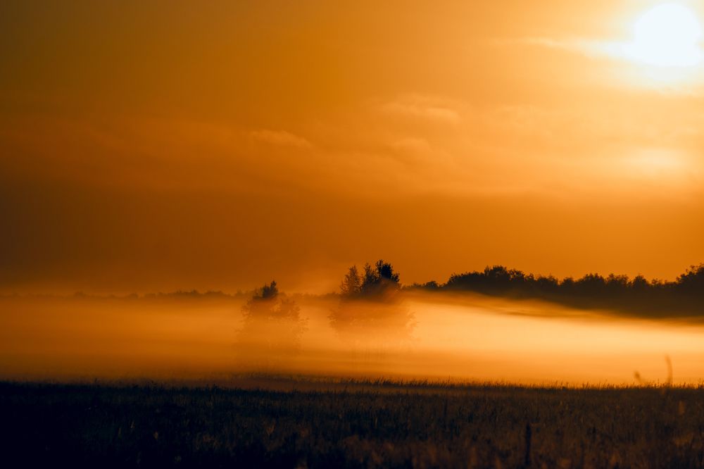 Photograph by Dina Abubakirova