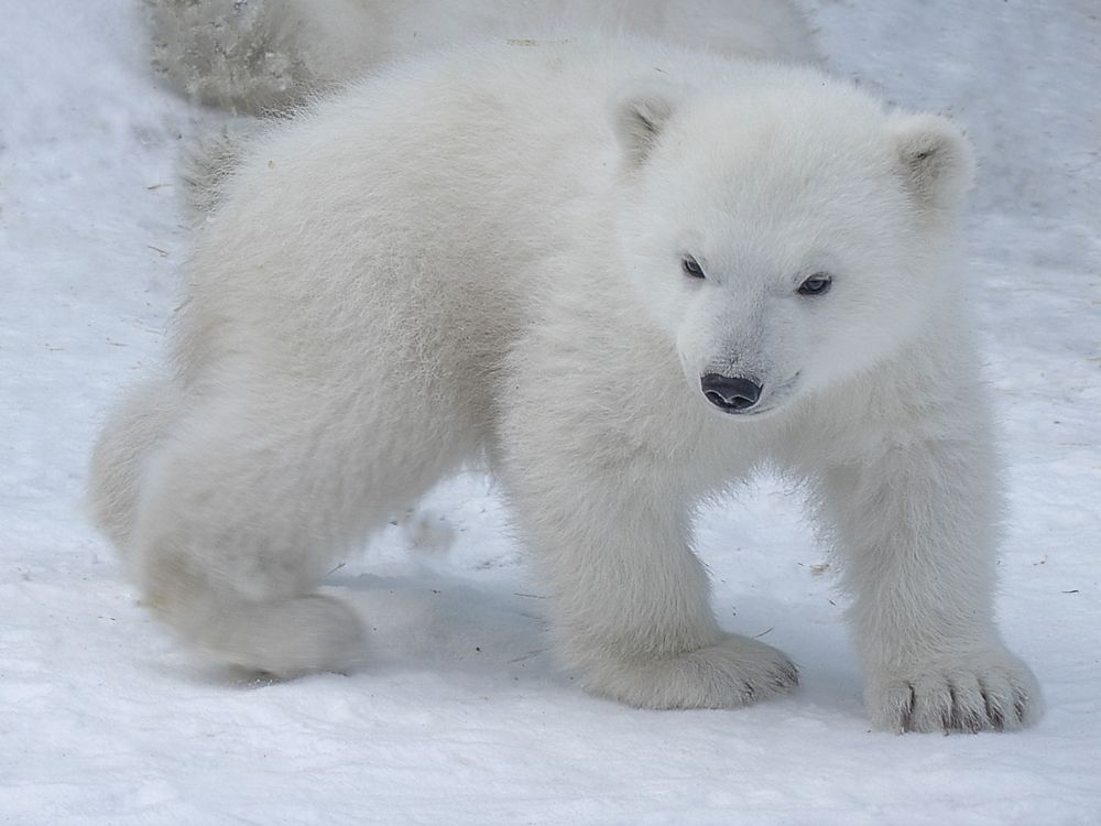 Photograph by Михаил Измайлов