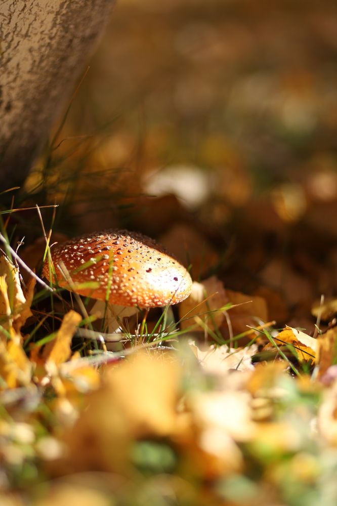 Photograph by Бальзирова Наталья