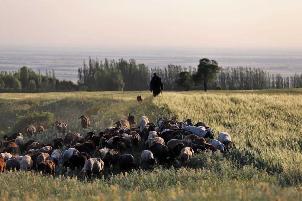 Photograph by Максимушкина Ольга