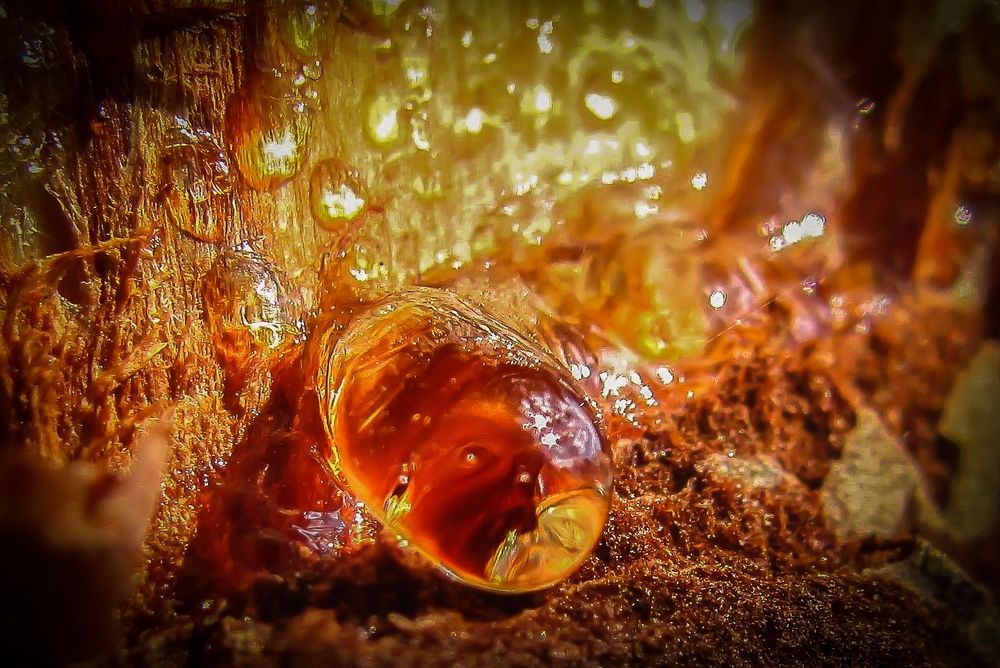 Photograph by Виктор Рыков