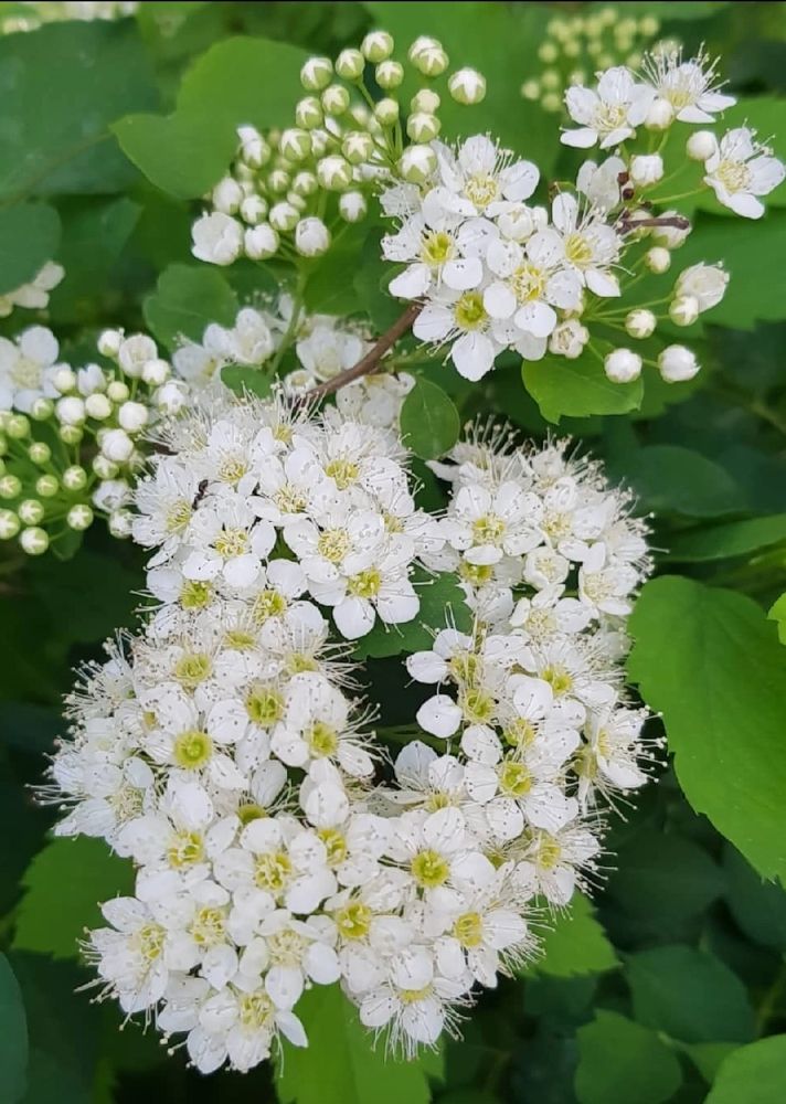 Photograph by Каковкина Ольга