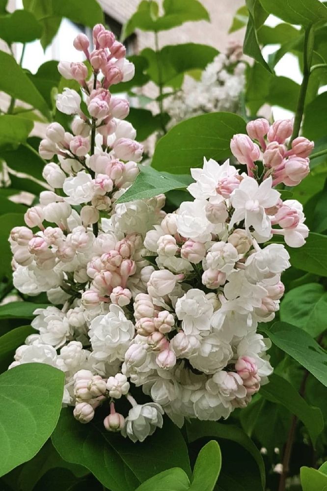 Photograph by Каковкина Ольга