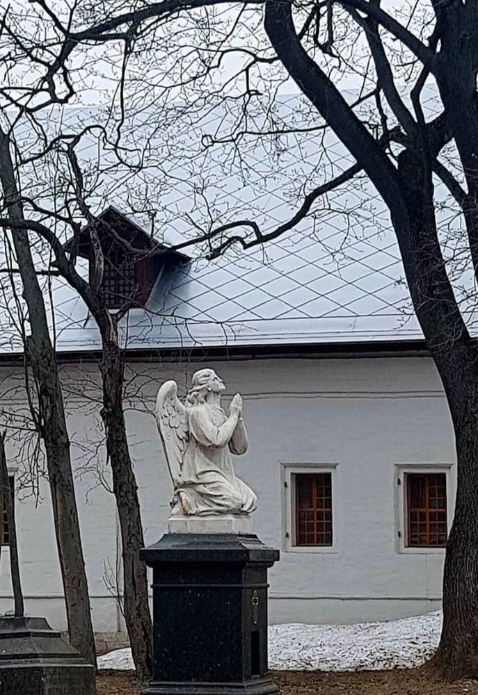 Photograph by Каковкина Ольга