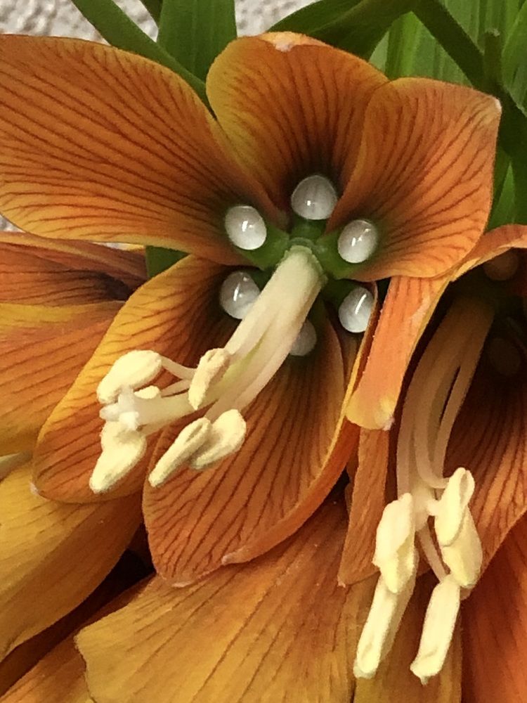 Photograph by Мария Бессмертная