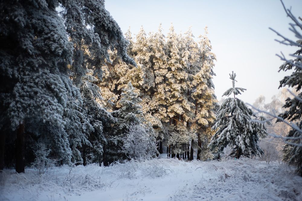 Photograph by Светлана Субботина