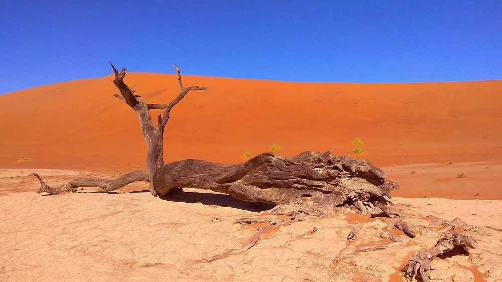 Photograph by Максимушкина Ольга