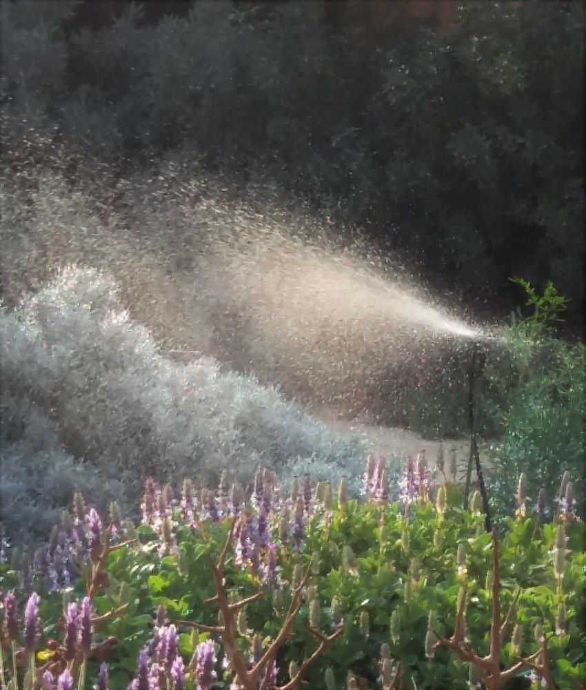 Фотография автора Ася Бабушкина