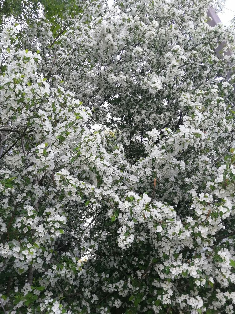 Photograph by Лиза Малыгина