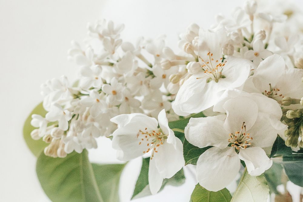 Photograph by Анастасия Макеева