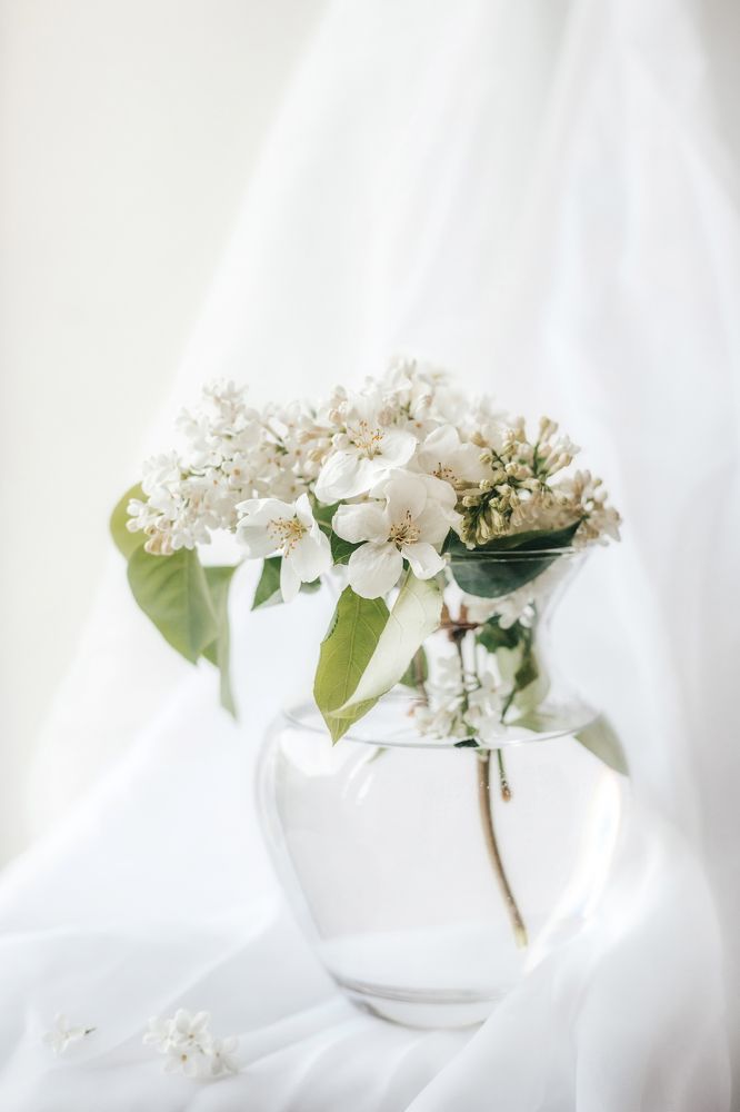 Photograph by Анастасия Макеева