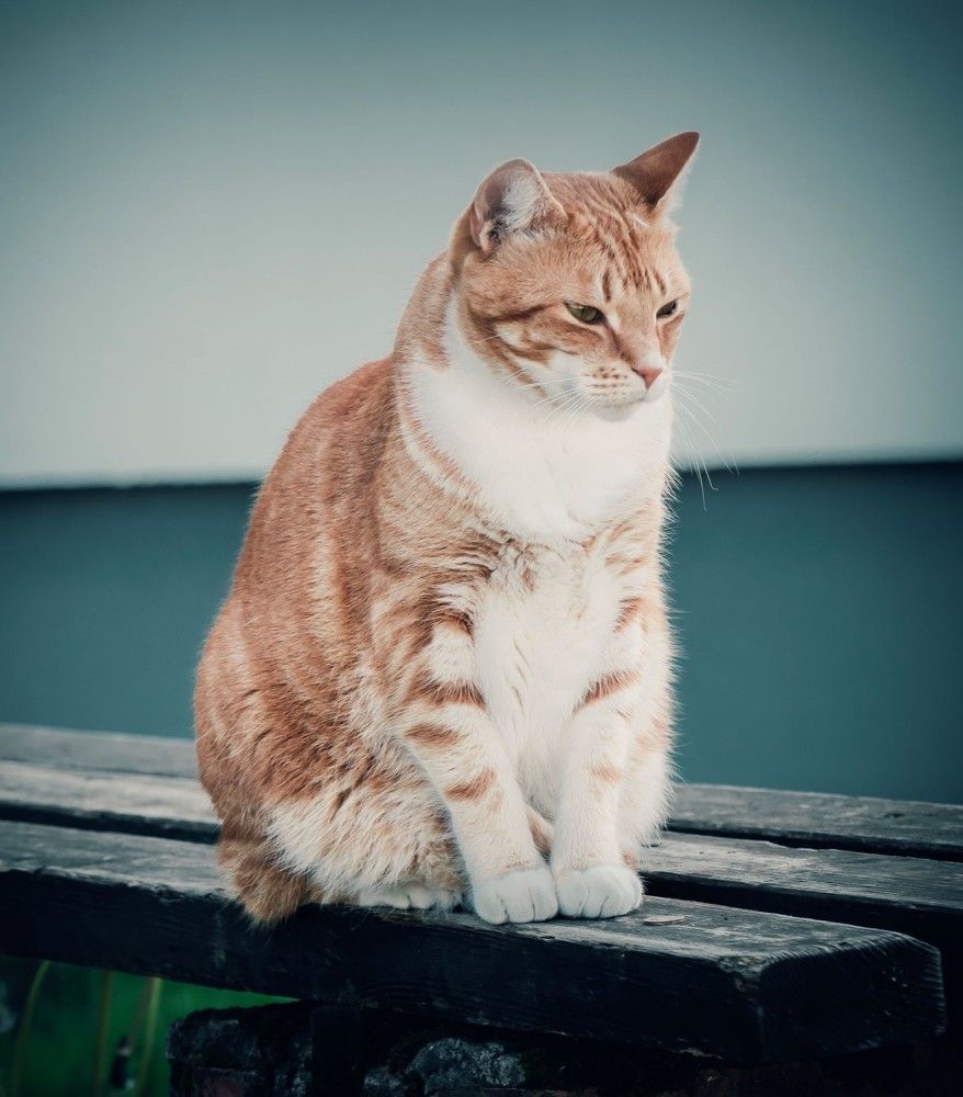 Photograph by Agita Leimane