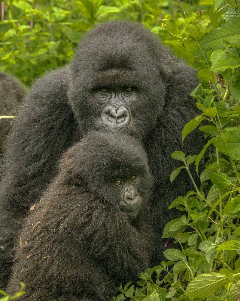 Photograph by Ricardo Ferreira