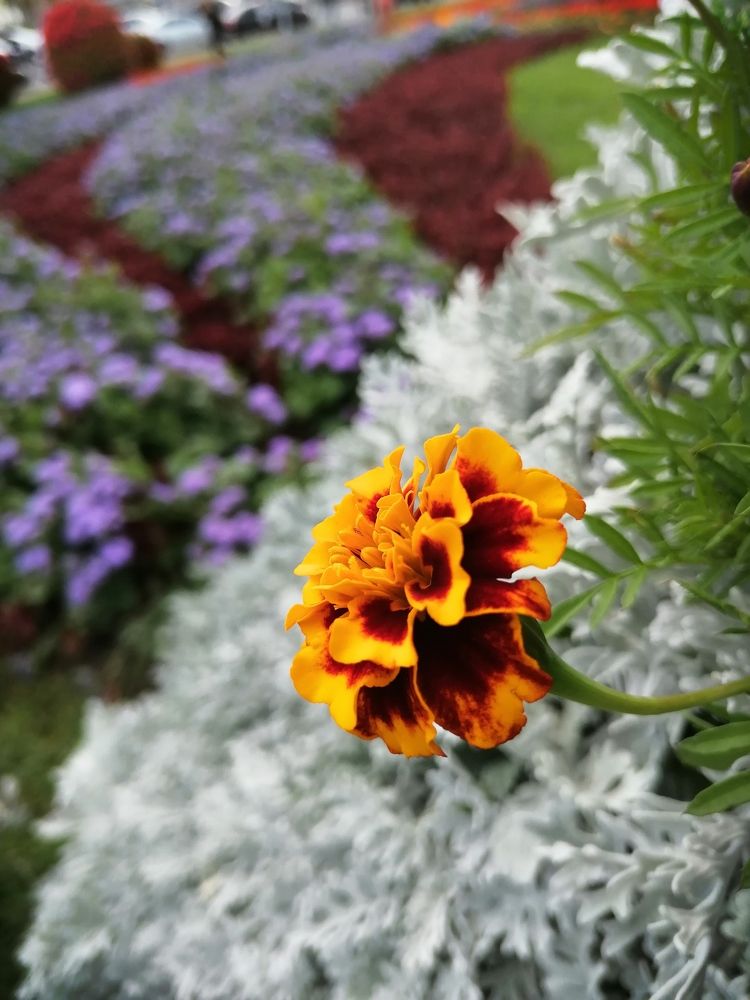 Photograph by Лиза Малыгина