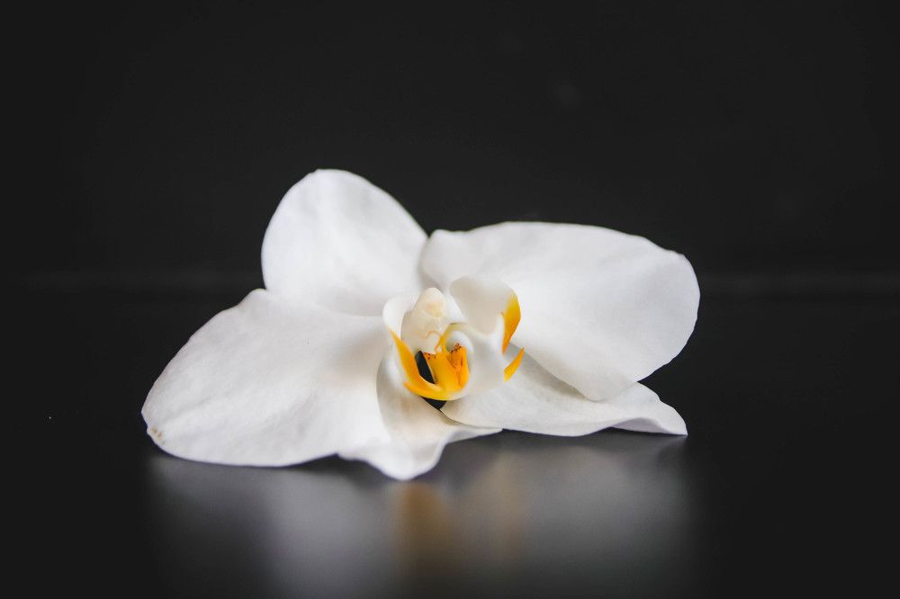 Photograph by Евгения Сенченко