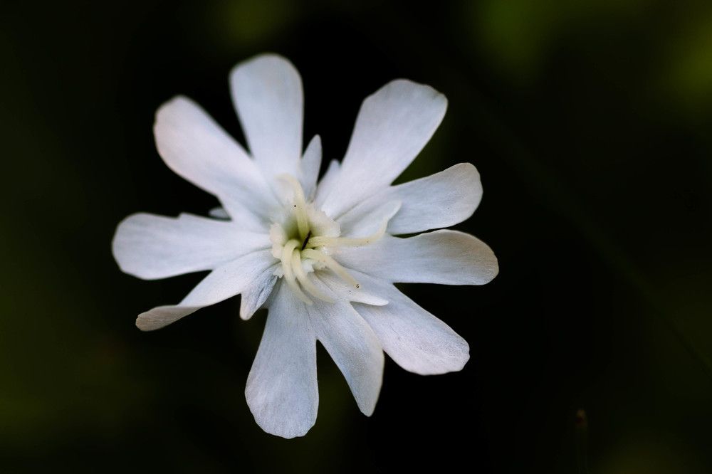 Photograph by Евгения Сенченко