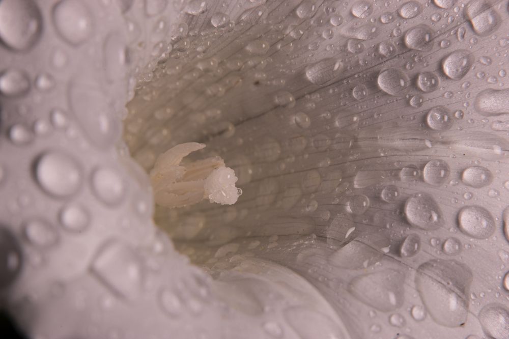 Photograph by Екатерина Бурикова