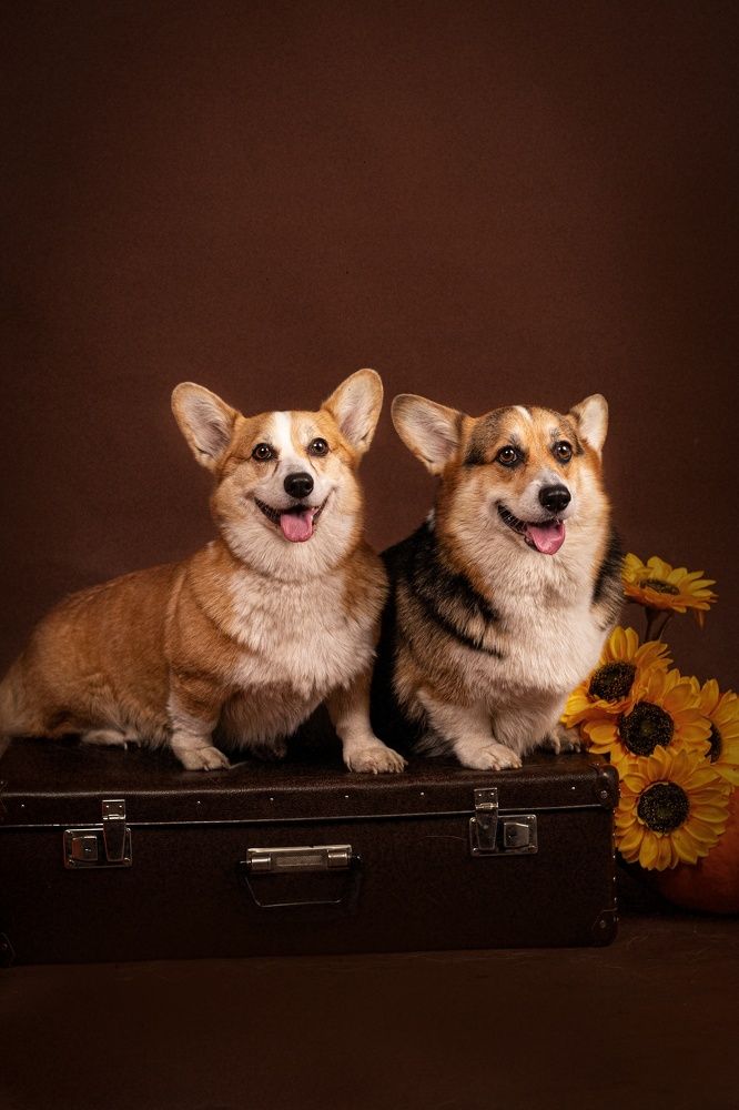 Photograph by Людмила Якурнова