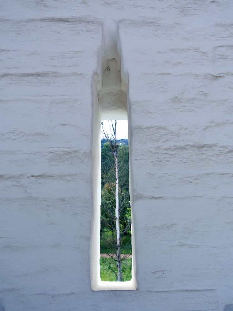 Photograph by Светлана Георкова