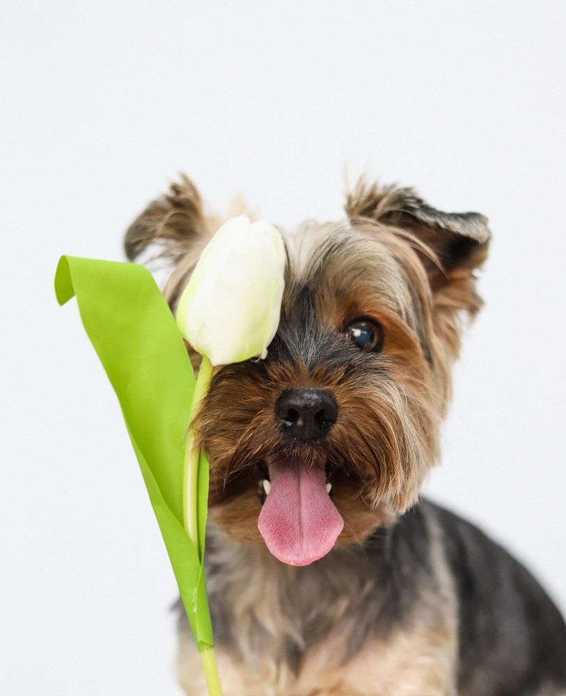 Photograph by Людмила Якурнова