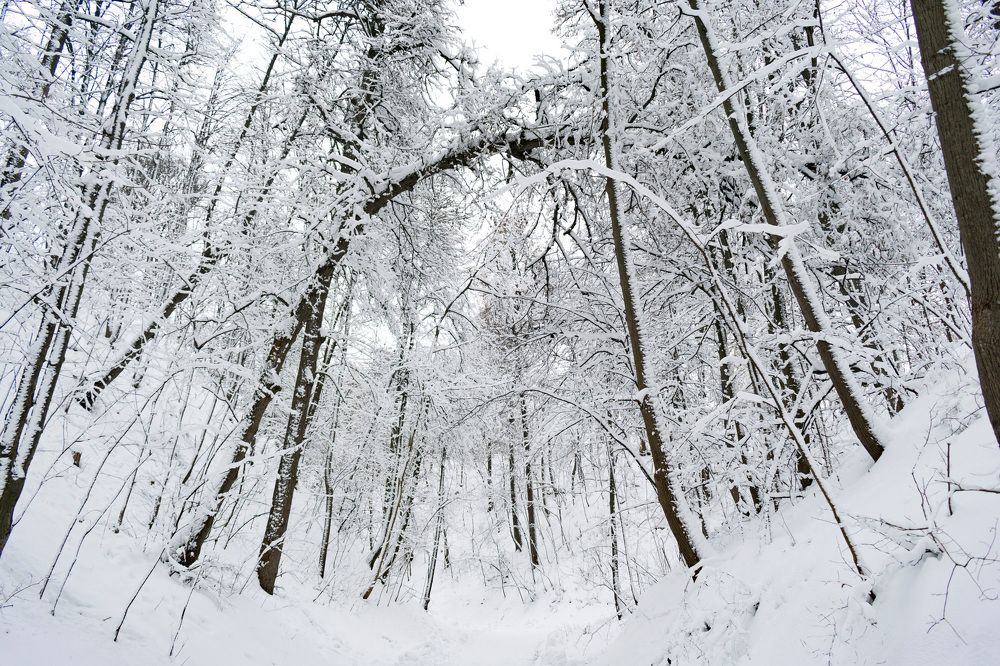 Photograph by Игорь Еремеев