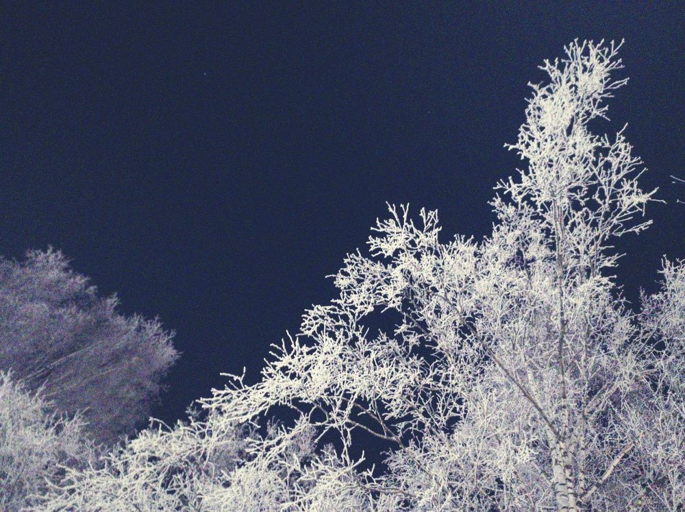 Photograph by Наталья Калюнова