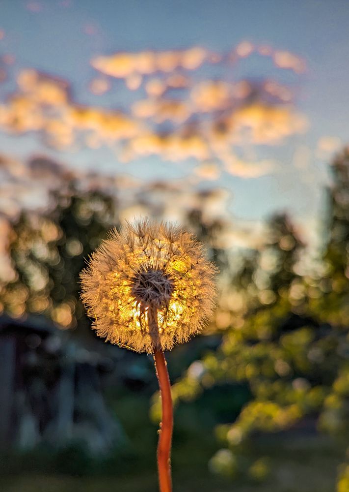 Photograph by Елизавета Коровина