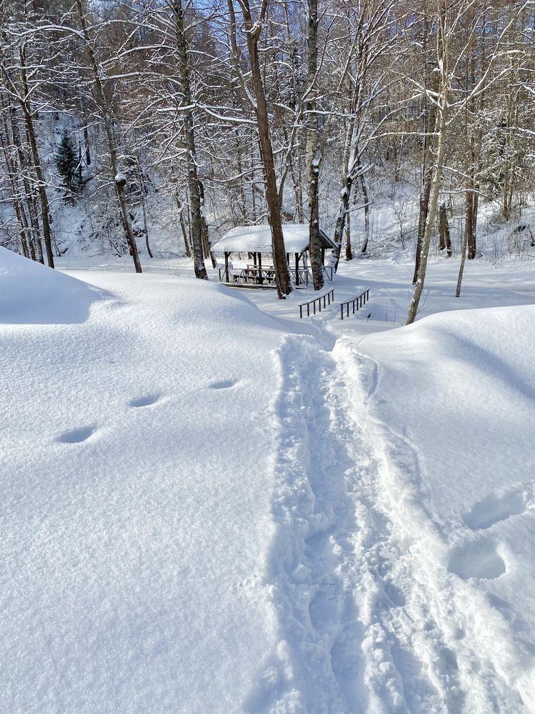 Photograph by Елена Ковалева