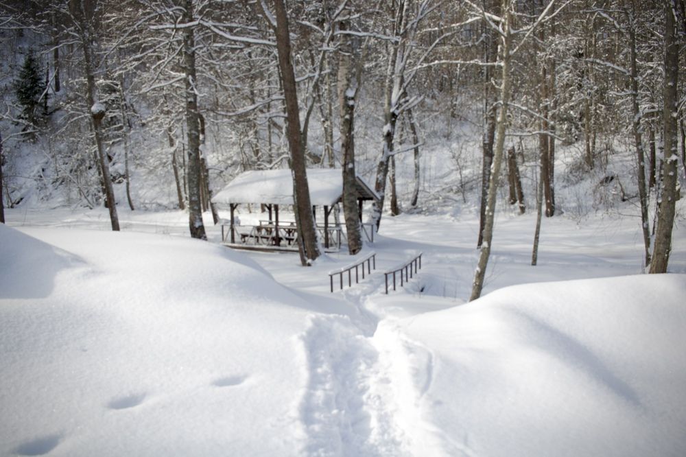 Photograph by Елена Ковалева