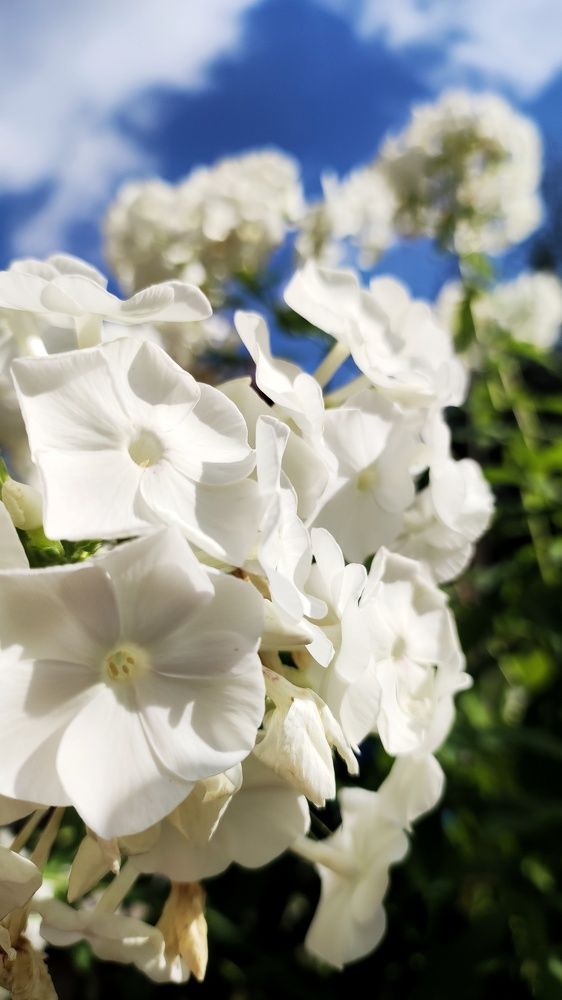 Photograph by Наталья Калюнова