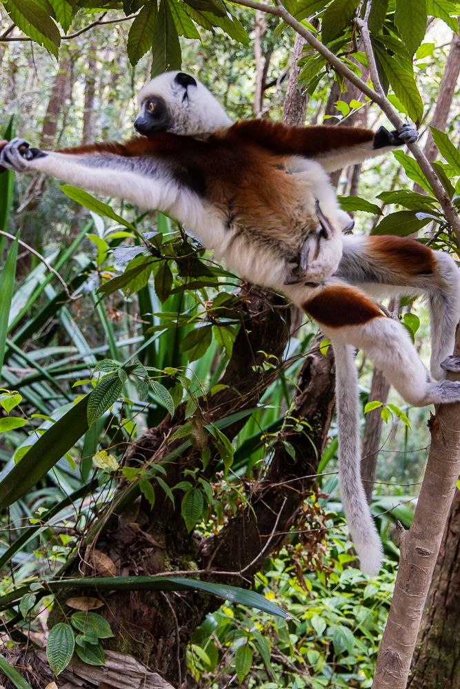 Photograph by Марина Маликова