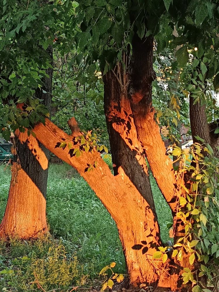 Photograph by Ольга Антипова