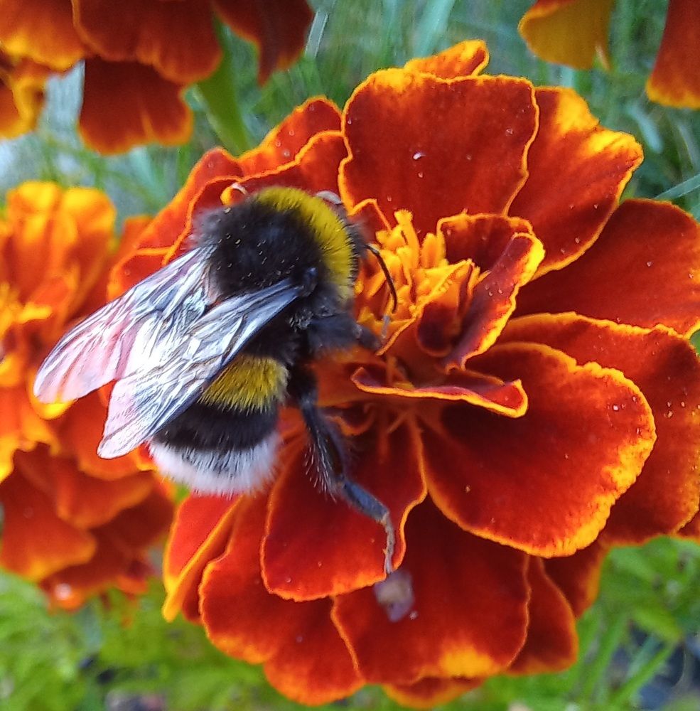 Photograph by Евгений Савулькин