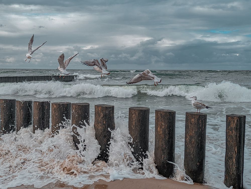 Photograph by Елизавета Коровина