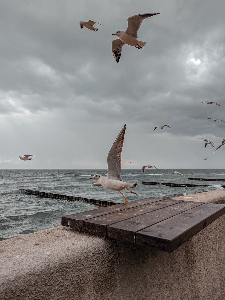 Photograph by Елизавета Коровина