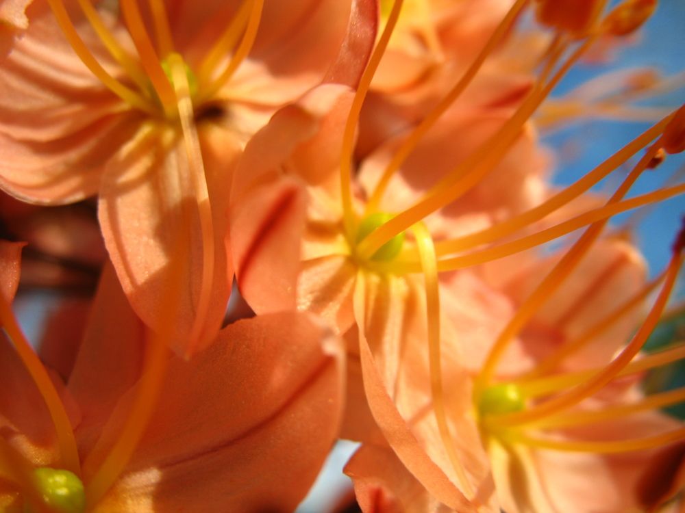 Photograph by Орл Про