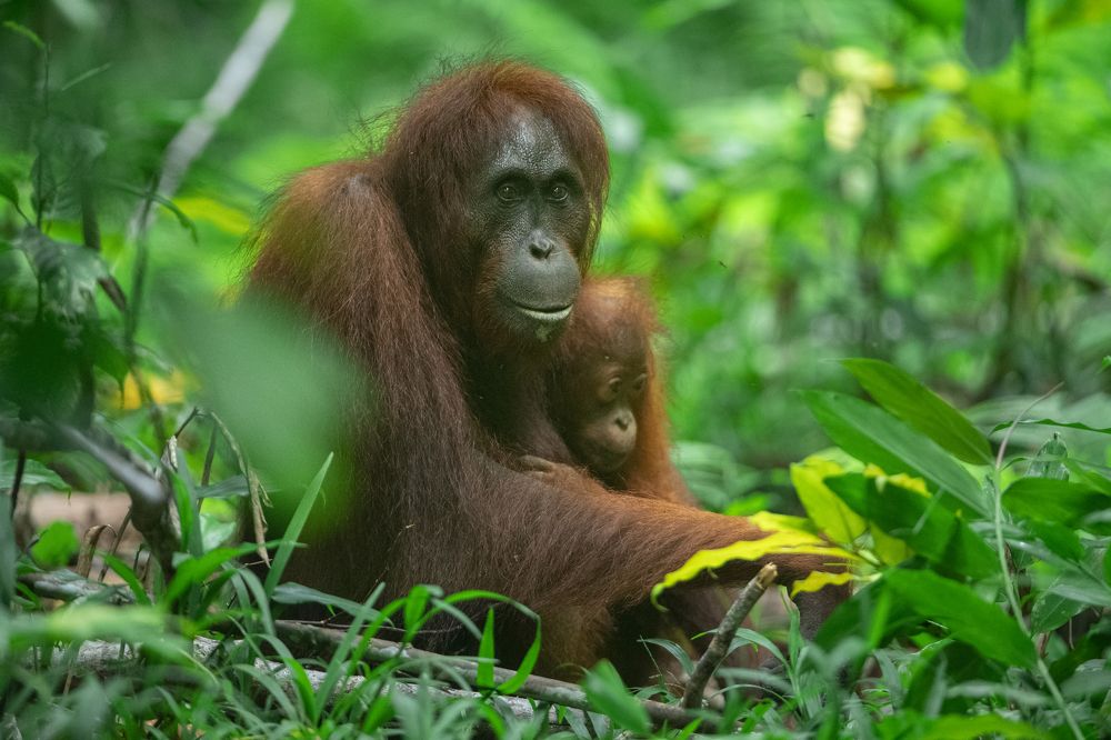 Photograph by Dilip Shah