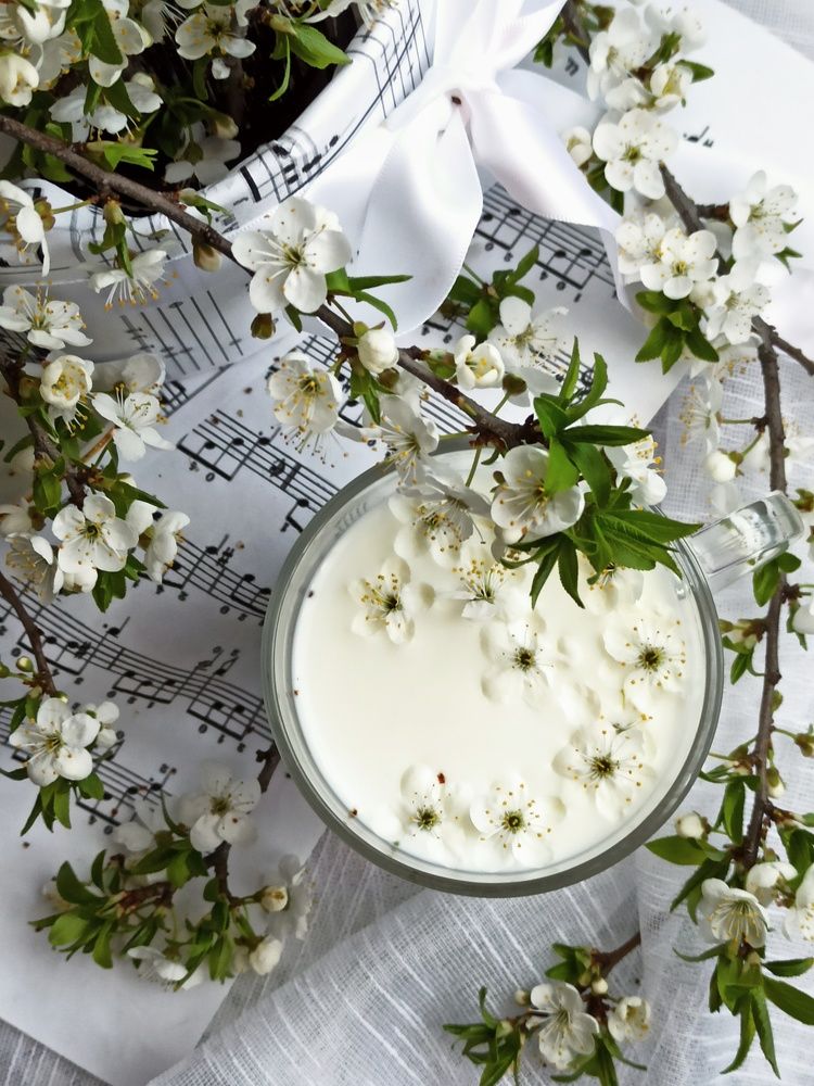 Photograph by Новикова Елена Сергеевна