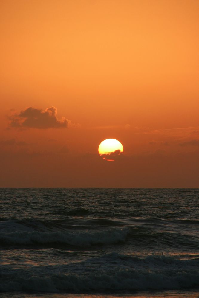 Photograph by Елена Макшеева