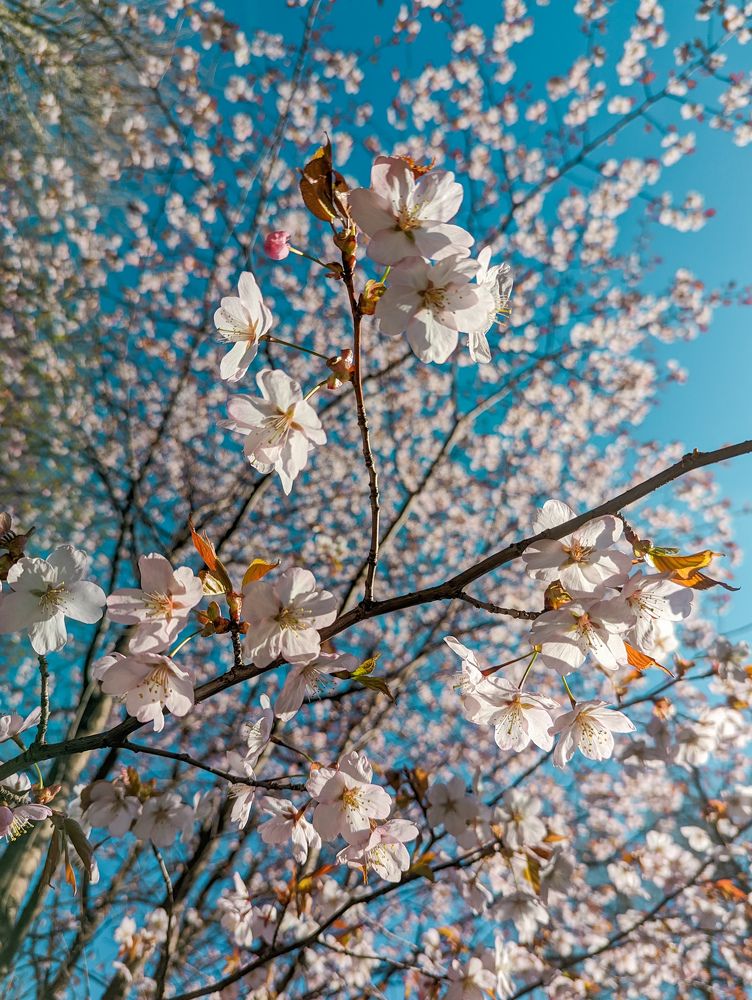 Photograph by Елизавета Коровина