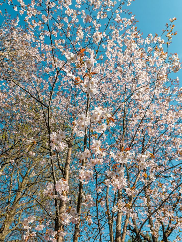 Photograph by Елизавета Коровина