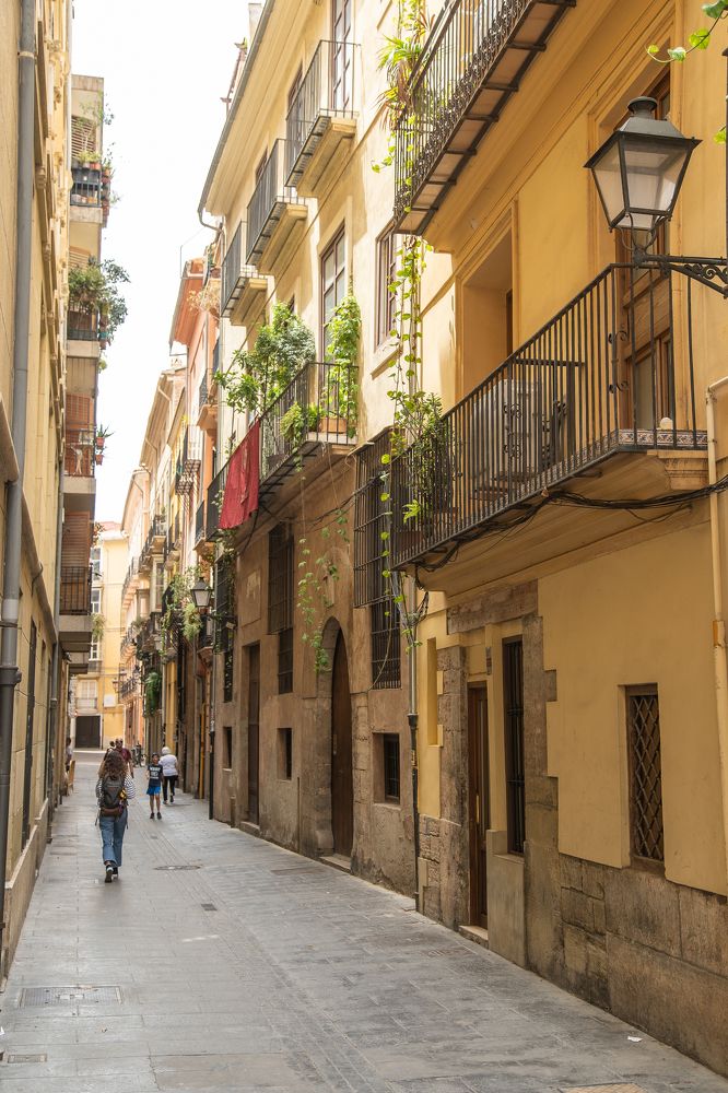 Photograph by Rafael Ha